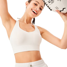 Load image into Gallery viewer, Phoenix Flex Sport Bra