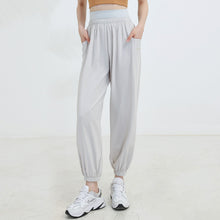 Load image into Gallery viewer, Genius Fit Jogger
